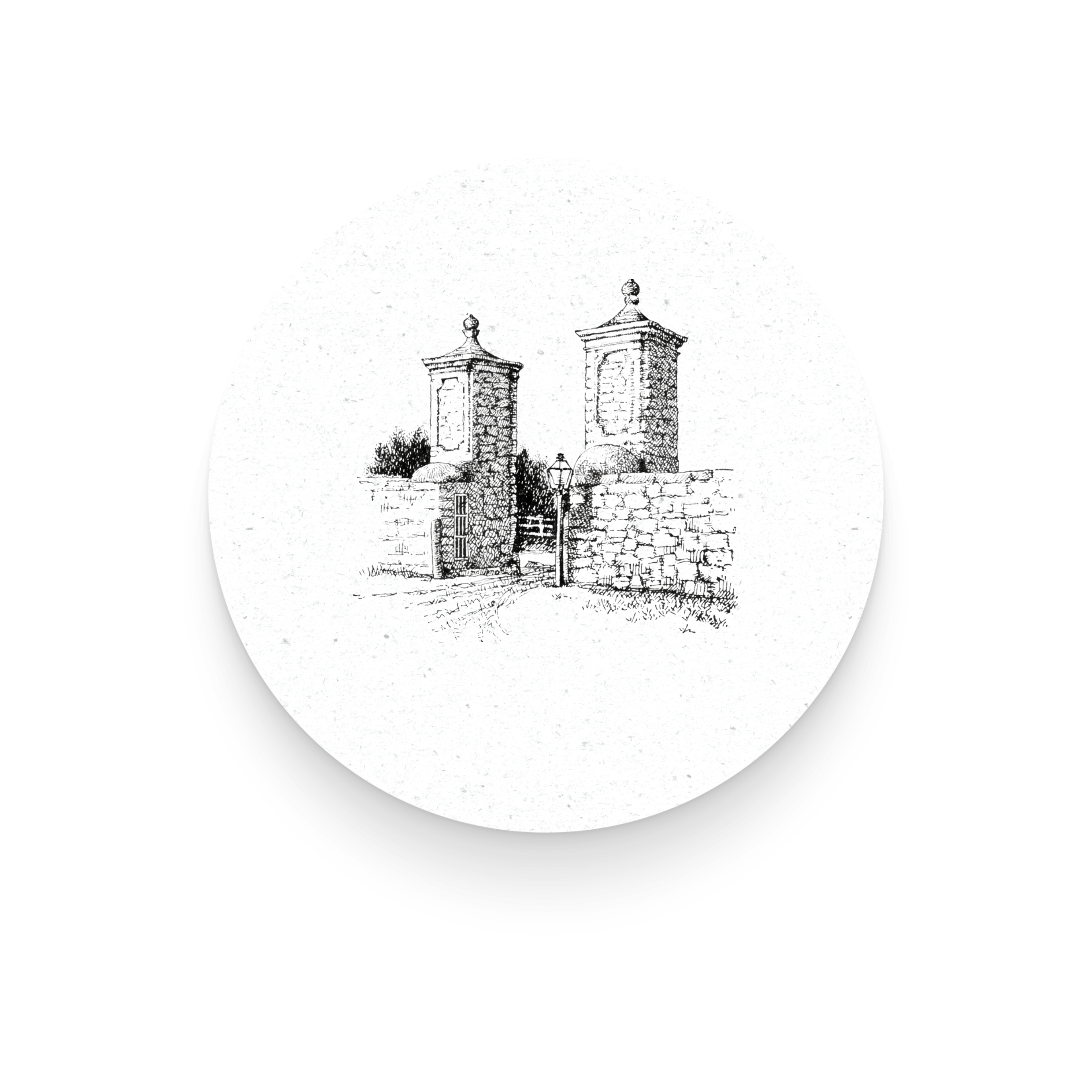 Spanish courses - كورسات اسباني
